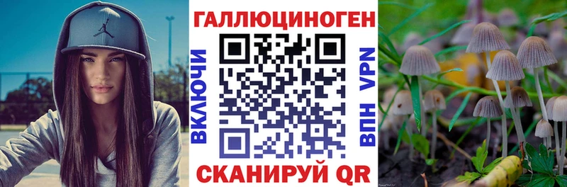 Псилоцибиновые грибы прущие грибы продажа наркотиков дарк нет формула Пугачёв