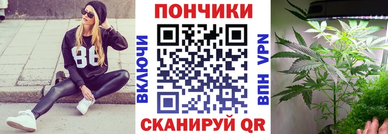 Каннабис семена  Пугачёв 